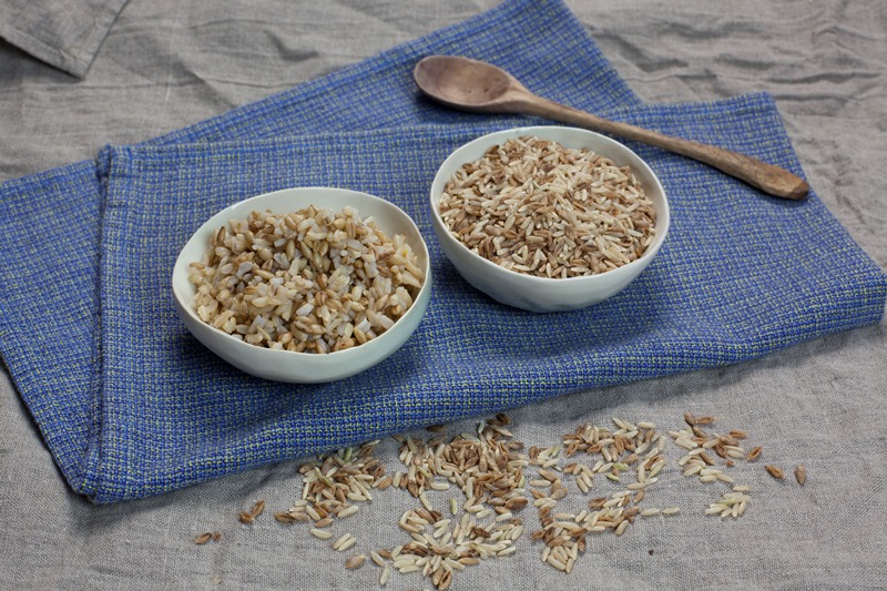 Sunrice RiceBarley bowls final