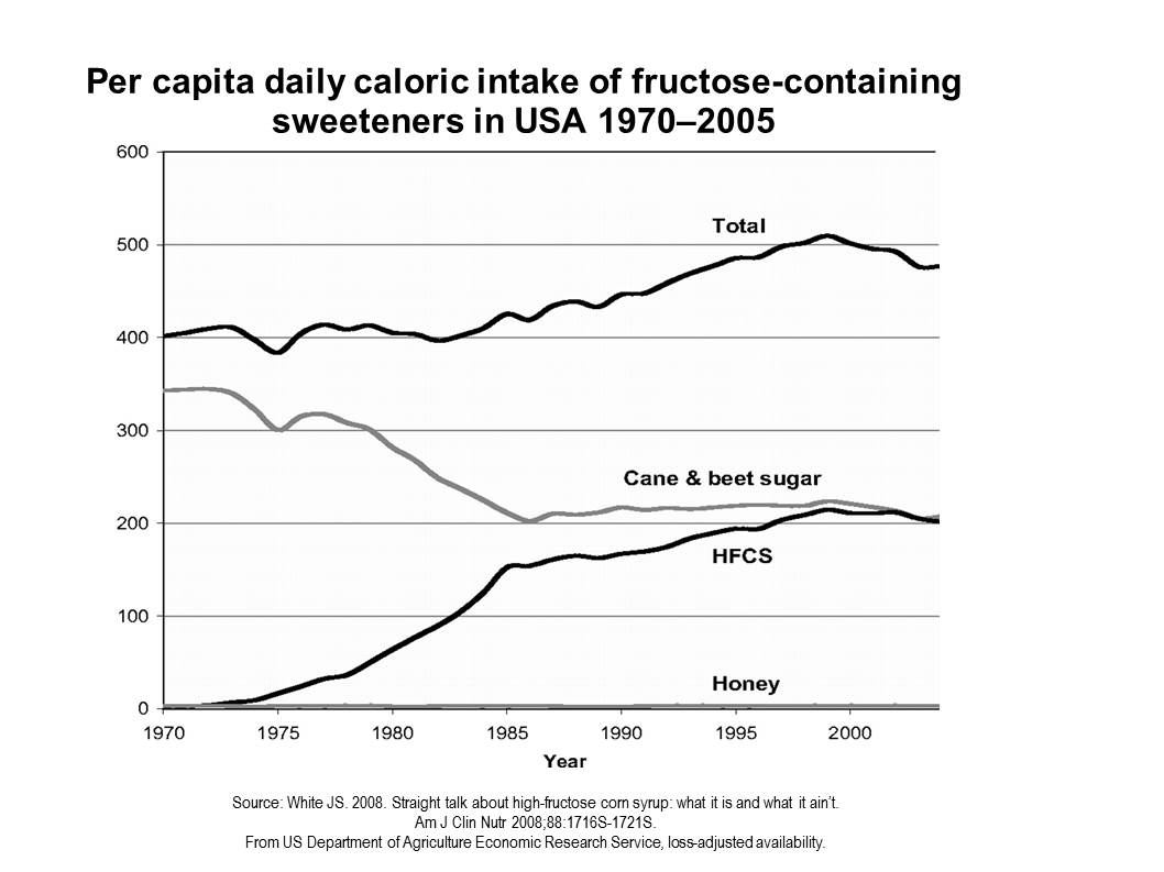 HFCS Intake 1970 2000 USDA