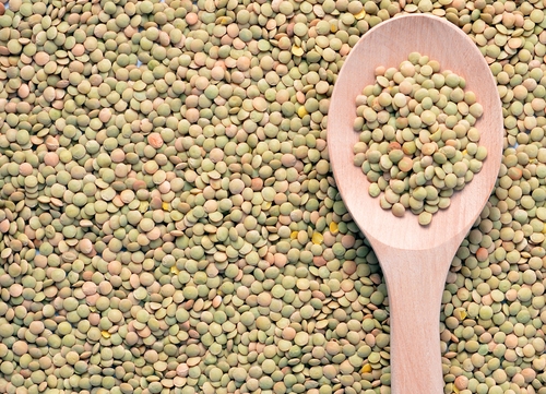 Lentils Spoon SS 255446230